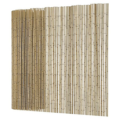 T & J Schilfrohrmatte Sylt (600 x 140 cm, Geeignet für: Sichtschutz)