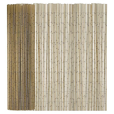 T & J Schilfrohrmatte Sylt (600 x 180 cm, Geeignet für: Sichtschutz)