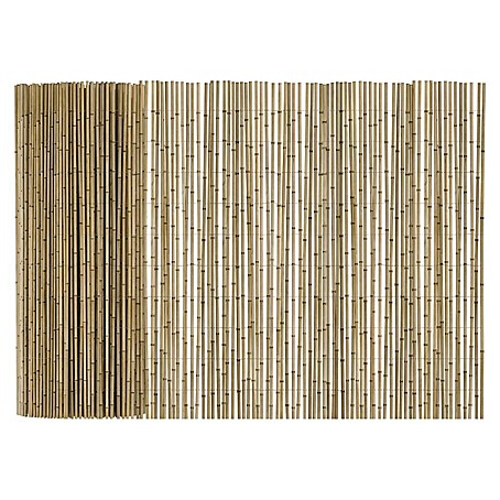 T & J Schilfrohrmatte Sylt (600 x 120 cm, Geeignet für: Sichtschutz)