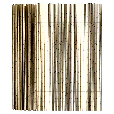 T & J Schilfrohrmatte Sylt (600 x 200 cm, Geeignet für: Sichtschutz)