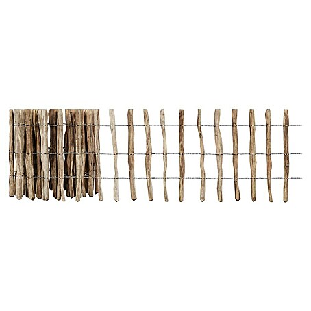 T & J Staketen Rollzaun Rollo 4-8 cm (B x H: 1 000 x 60 cm, Holz)