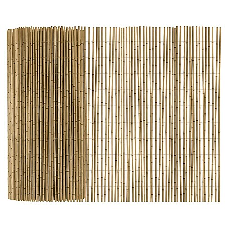 T & J Schilfrohrmatte Sylt (600 x 100 cm, Geeignet für: Sichtschutz)