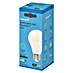 Garza Bombilla LED Filamento 