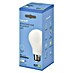 Garza Bombilla LED Filamento 