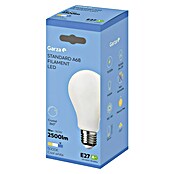 Garza Bombilla LED Filamento (E27, Blanco frío, 2.500 lm, 8 W) | BAUHAUS