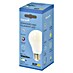 Garza Bombilla LED Filamento Regulable 
