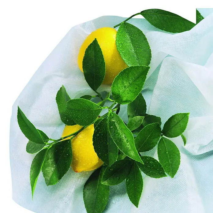 Nortene Protección invernal Hiversac - Blanco - Dos limones frescos adornados con hojas verdes descansan sobre un paño blanco y suave. Los cítricos jugosos prometen una explosión de sabor refrescante.