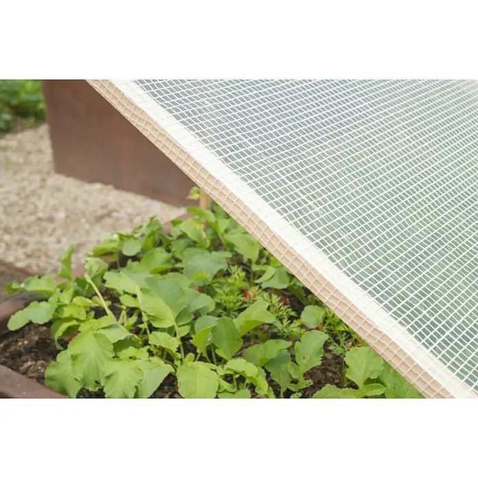 Windhager Gitterfolie Standard - L x B: 6 x 2 m, Weiß - Nahaufnahme eines Hochbeets mit Schutznetz, das vor Schädlingen schützt und das Wachstum fördert. Ideal für den Garten.