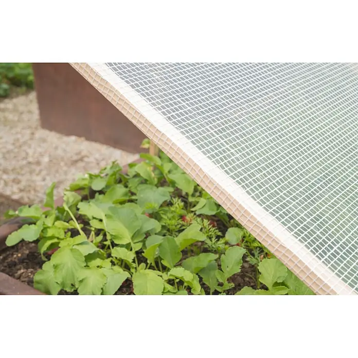 Windhager Gitterfolie Standard - L x B: 6 x 2 m, Weiß - Nahaufnahme eines Hochbeets mit Schutznetz, das vor Schädlingen schützt und das Wachstum fördert. Ideal für den Garten.