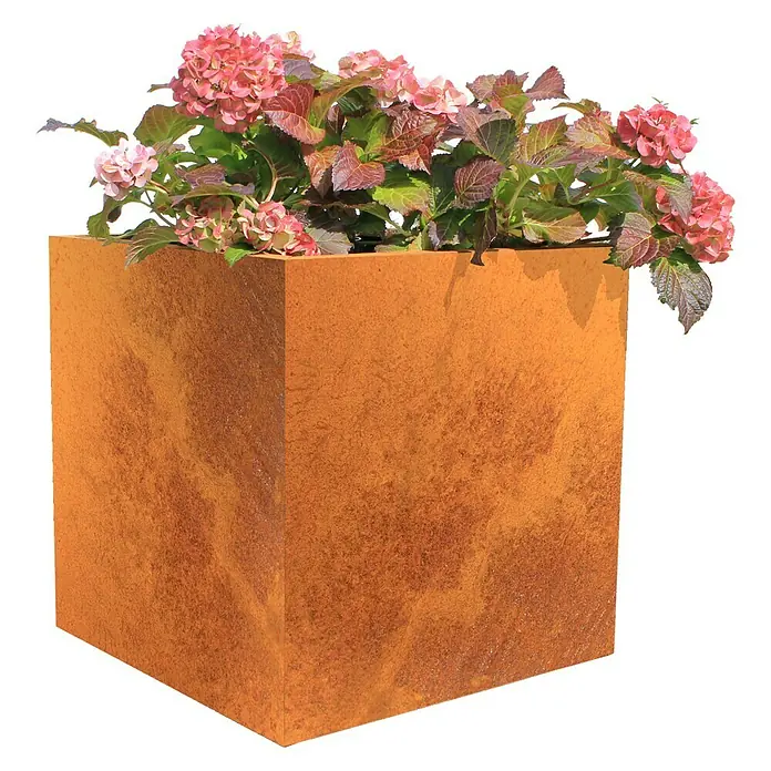 Palatino Exclusive Line Pflanzkasten Nora - 50 x 50 x 50 cm, Cortenstahl, Rotbraun - Rostfarbener Würfel Pflanzkasten mit rosa Hortensien bepflanzt, der eine stilvolle und natürliche Gartendekoration darstellt.