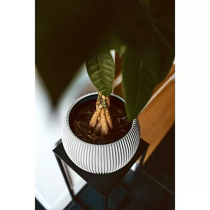 Capi Europe Übertopf rund Nature Groove - Außenmaß (Ø x H): 22 x 18 cm, Elfenbein, Polyester - Stimmungsaufnahme