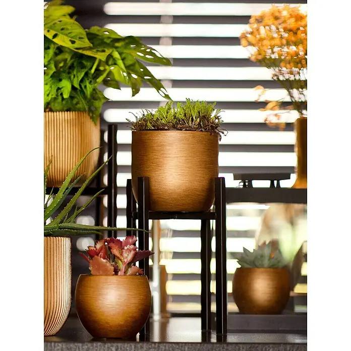 Capi Europe Übertopf rund Retro - Außenmaß (Ø x H): 14 x 13 cm, Gold, Polyester - Nahaufnahme von stilvollen bronzefarbenen Pflanzgefäßen auf einem Regal mit verschiedenen Pflanzen, die ein modernes Ambiente schaffen.