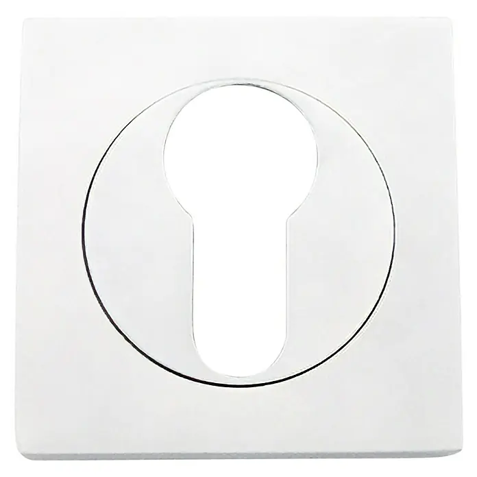GDK Escudo para cerraduras B A05 - L x An: 50 x 50 mm, Blanco - Primer plano de una roseta de llave de color plateado, que ofrece un toque elegante y moderno a cualquier puerta. El ojo de la cerradura está centrado y visible.