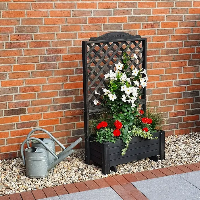 Promadino Pflanzkasten Romantica - Außenmaß (L x B x H): 80 x 38 x 140 cm, Holz, Anthrazit - Ein dunkler Pflanzkasten mit Rankgitter, bepflanzt mit weißen und roten Blumen, steht neben zwei Zinkgießkannen vor einer Backsteinmauer.