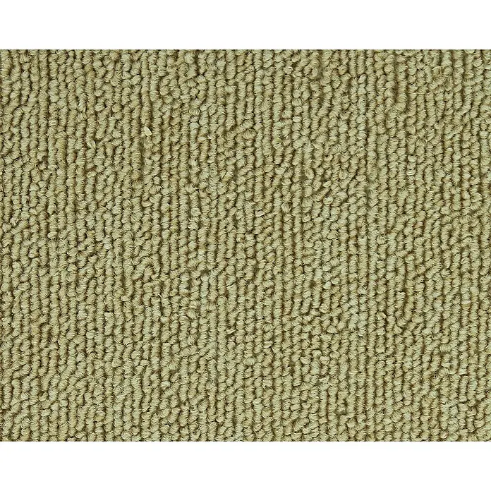 Moqueta a metros Forza - Ancho: 200 cm, 100 % polipropileno, Beige - Primer plano de una alfombra beige con una superficie densa y texturizada, ideal para crear interiores cálidos y acogedores.