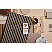 FibroTech Akustični panel Premium  (Oreh, 2.440 x 605 x 22 mm) | Akustične plošče | Zvočna izolacija | Izolacija | Gradbeni material | Izdelki | BAUHAUS