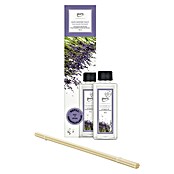 Ipuro Essentials Raumduft Refill (Lavender Touch, 200 ml) | BAUHAUS