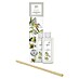 Ipuro Essentials Raumduft Refill 