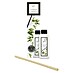 Ipuro Essentials Raumduft Refill 