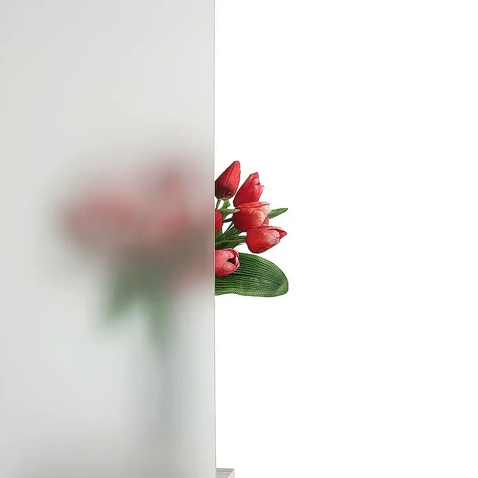Portofino Haustür 704PF - 110 x 210 cm, DIN Anschlag: Links, Anthrazit Metallic/Verkehrsweiß matt - Ein elegantes Bild von roten Tulpen, teilweise verdeckt durch ein mattiertes Glas, das eine subtile und künstlerische Ästhetik erzeugt.