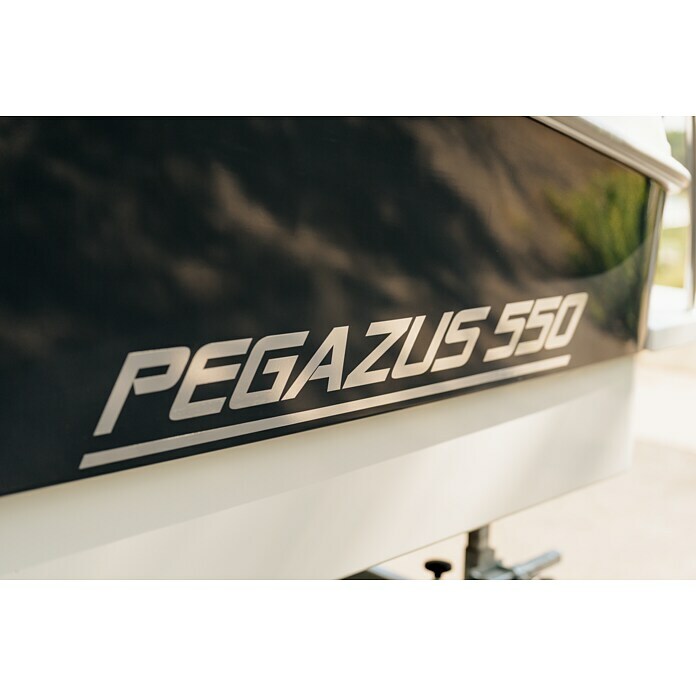 PEGAZUS GFK-Boot 550 Ready to Go 100 (Motorleistung: 73,6 kW, Geeignet für: Max. 6 Personen, Norm: CE-Klasse C)