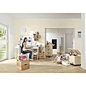 Stapelbox (L x B x H: 60 x 40 x 21 cm, XL, Buche)