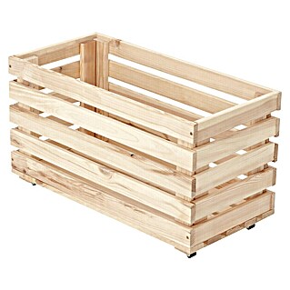 Regalux Regalsystem Heavy Caja para almacenaje con ruedas (An x Pr x Al: 60 x 30 x 35 cm, Madera)