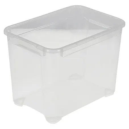 Regalux  Aufbewahrungsbox Clear-Box