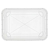 Regalux Clear Box L (L x B x H: 54,8 x 38,4 x 28,3 cm, 47 l, Transparent)