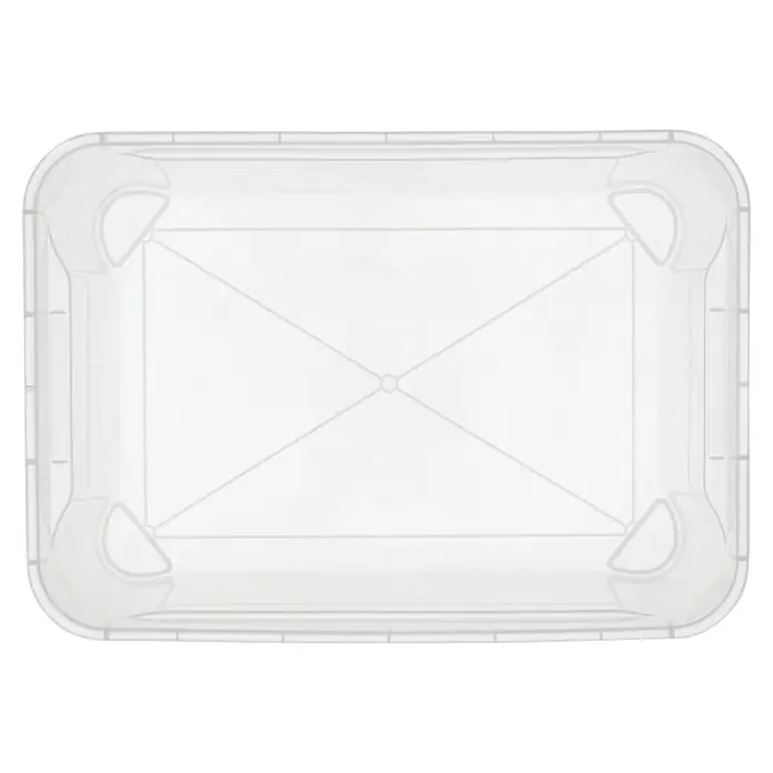 Regalux Aufbewahrungsbox Clear-Box - L x B x H: 54,8 x 38,4 x 28,3 cm, 47 l, Transparent - Abbildung einer durchsichtigen rechteckigen Frischhaltedose aus Kunststoff mit abgerundeten Ecken und einem stabilen Design.