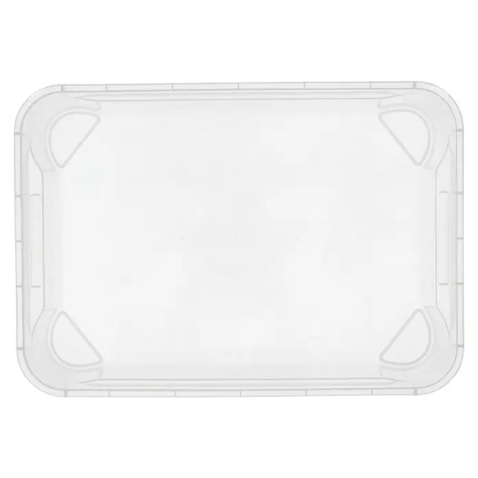 Regalux Clear Box ML x B x H: 54,8 x 38,4 x 18,9 cm, 31 l, Transparent - Eine durchsichtige, rechteckige Kunststoffschale mit abgerundeten Ecken, ideal für die Lebensmittelaufbewahrung und Präsentation.