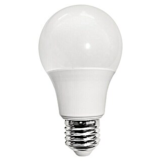 Bombilla LED (E27, 8,5 W, A60, 806 lm)