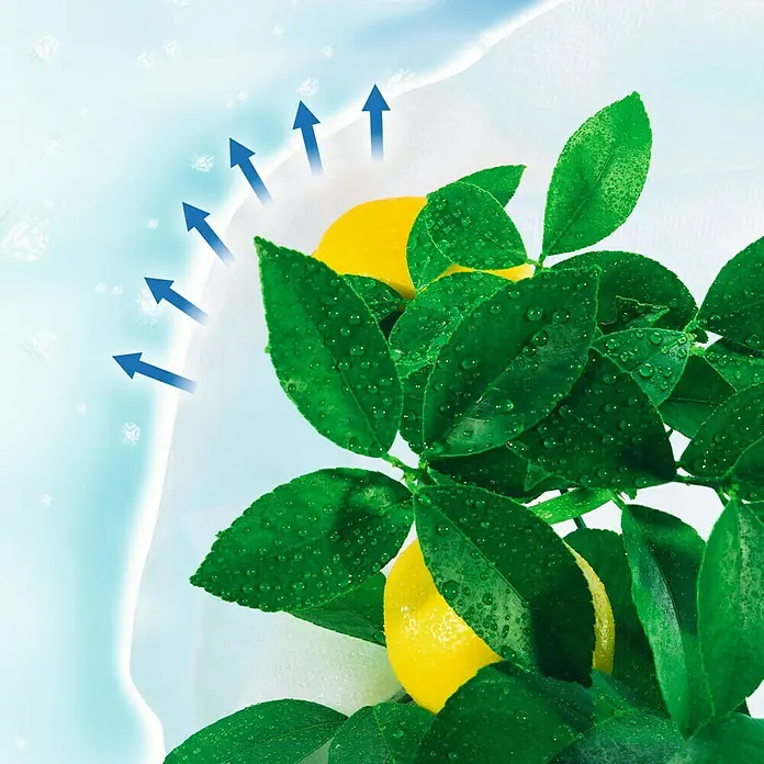 Nortene Protección invernal Hiversac - Blanco - Limones frescos con hojas verdes y gotas de agua sobre un fondo azul, destacando la pureza y la frescura del producto.