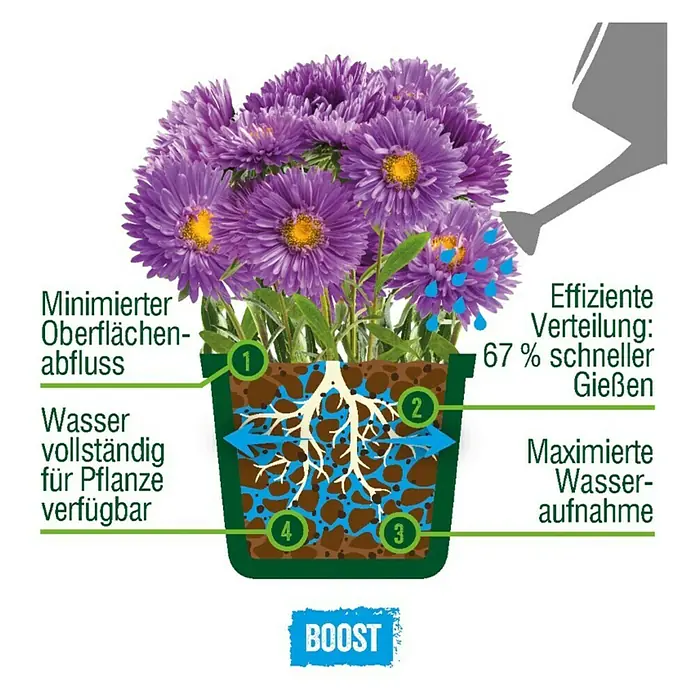 Westland Universaldünger Boost - 1 l - Grafik, die die effiziente Wasserverteilung im Boden eines Topfes mit lila Astern veranschaulicht, inklusive der Vorteile minimierten Abflusses.