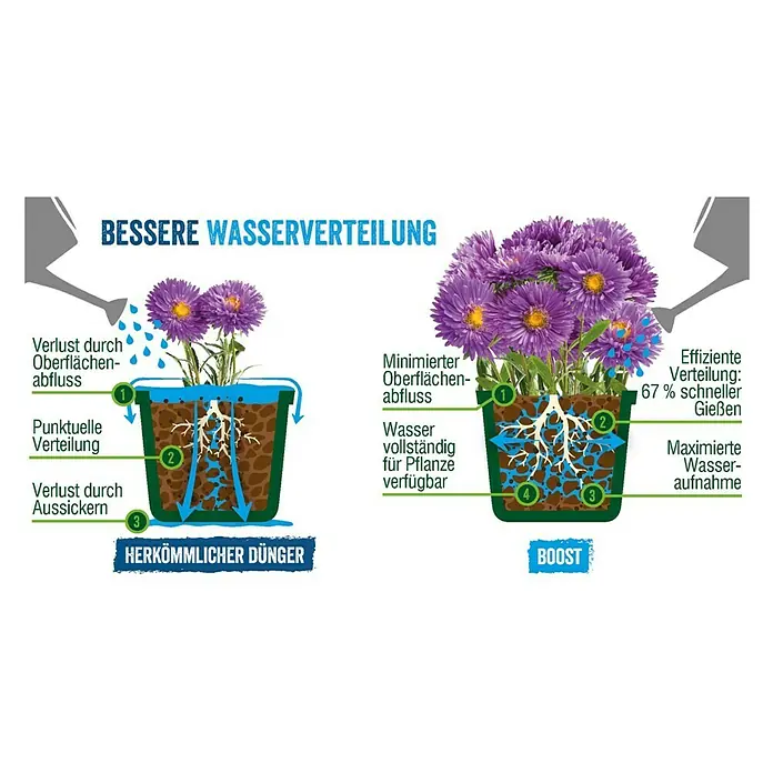Westland Universaldünger Boost - 1 l - Darstellung des Unterschieds in der Wasserverteilung zwischen herkömmlichem Dünger und BOOST für Pflanzenwachstum.