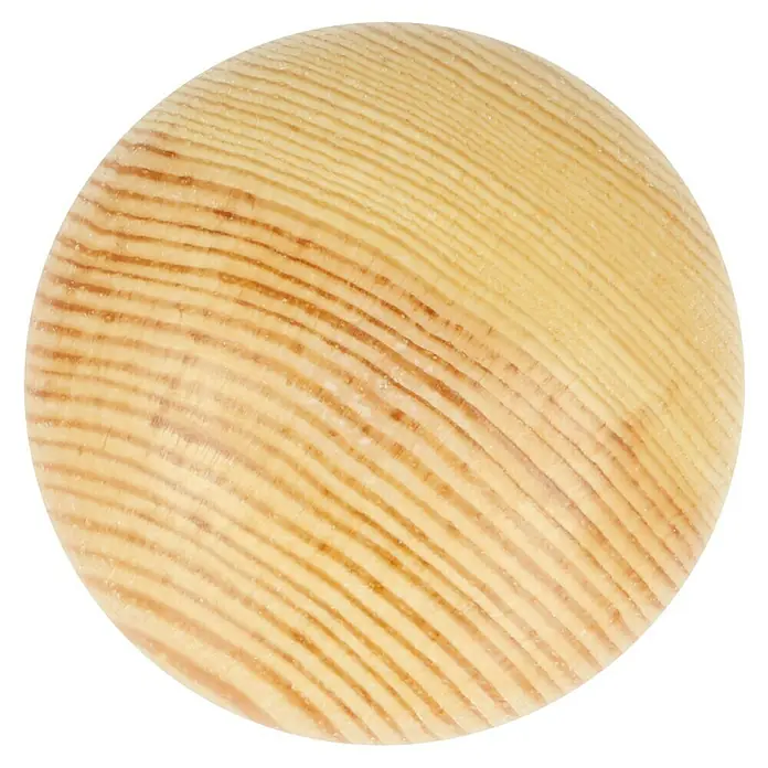 Häfele Pomo para muebles - Tipo de tirador del mueble: Botón, Ø x Al: 44 x 35 mm, Madera, Lacado, Natural - Primer plano de una rodaja de madera clara y redonda con finos anillos de crecimiento concéntricos sobre fondo negro.