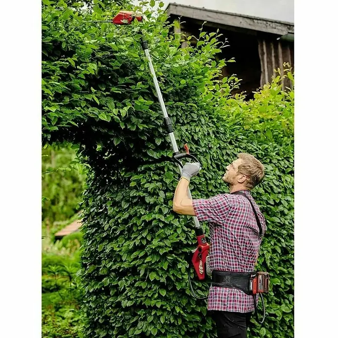 Einhell Cinturón GE-PB 36/18 Li - Largo: 150 cm, Específico para: Equipos de 18 V y 36 V Power X-Change - Un hombre recorta un seto alto con un cortasetos de pértiga a batería Einhell. Lleva ropa protectora y trabaja con cuidado.