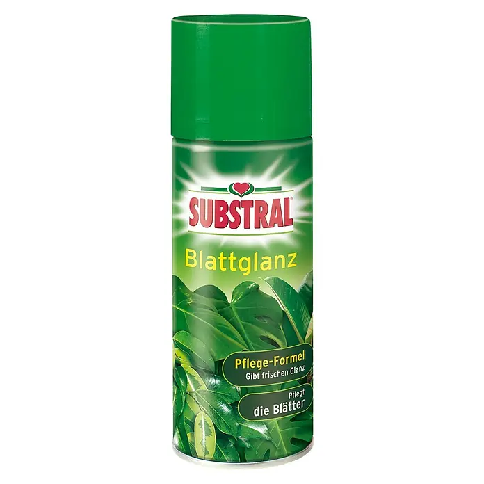 Substral Blattglanz für hartlaubige Zimmerpflanzen - 200 ml - Sprühdose Substral Blattglanz für frischen Glanz und Pflege der Blätter, ideal für Zimmerpflanzen und Garten. Sorgt für gesunde, glänzende Blätter.