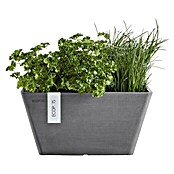 Ecopots Berlin Pflanzschale eckig (Außenmaß (L x B x H): 31 x 31 x 15,5 cm, Kunststoff, Grau) | BAUHAUS