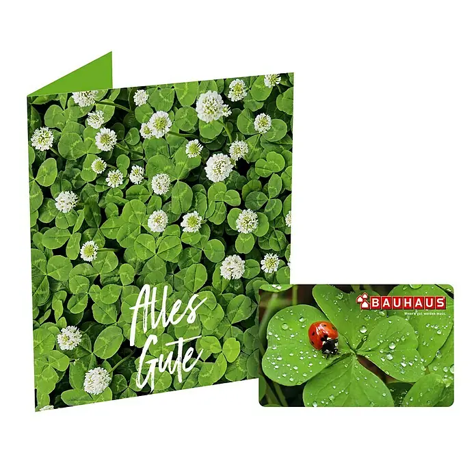 Gutscheinkarte - Per Postversand, 20 Euro, Kleeblatt - Glückwunschkarte "Alles Gute" mit Kleeblatt-Motiv und Bauhaus Geschenkkarte mit Marienkäfer. Ideal zum Verschenken.