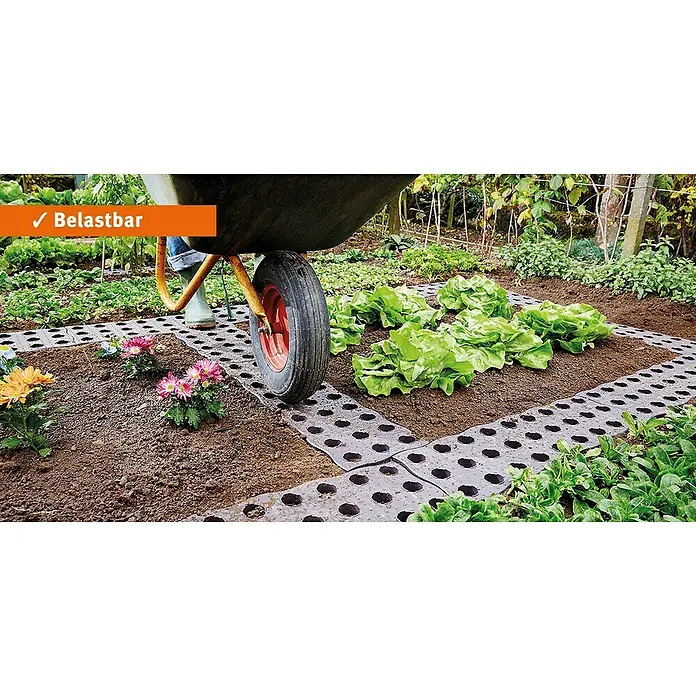 Garantia Beetplatte Maxi - 4 Stk., 70 x 24 cm - Gartenwegplatten im Einsatz: Eine Schubkarre fährt über die robusten, grauen Platten, die zwischen Blumen und Salatbeeten liegen.
