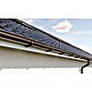 FunkeGruppe Dachrinnenhalter (Nennweite: 125 mm, Kunststoff, Braun)