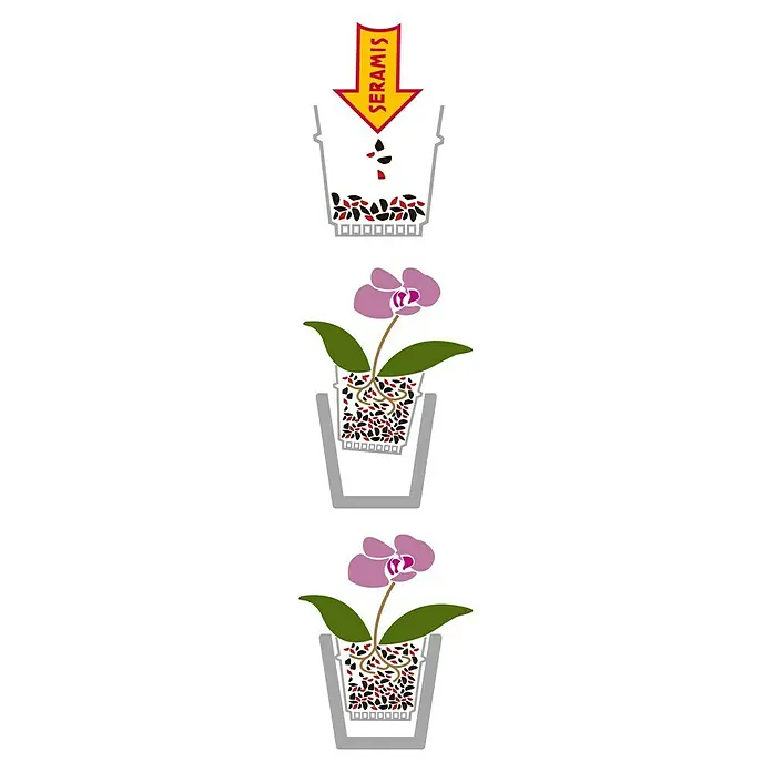 Seramis Orchideen-Granulat - Nettovolumen: 7 l - Seramis-Anleitung: Schrittweise Anleitung zum Einpflanzen einer Orchidee mit Seramis-Substrat für optimales Wachstum und Pflege.
