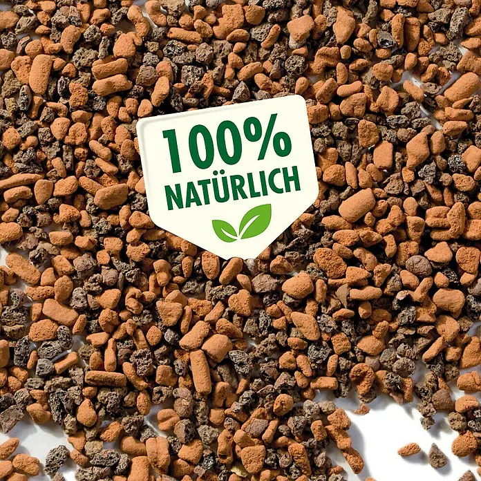 Seramis Kakteenerde - 7 l - Natürliches Pflanzgranulat mit dem Aufdruck "100% natürlich" für den Gartenbau und Zimmerpflanzen.