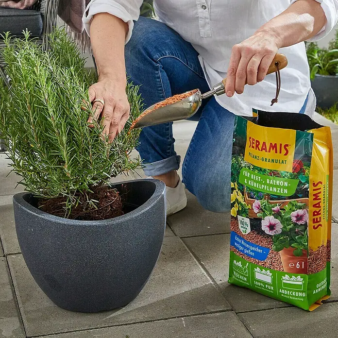 Seramis Tongranulat für Beet-, Balkon- & Kübelpflanzen - 6 l - Person bepflanzt einen Topf mit Seramis Pflanz-Granulat. Das Produkt ist ein Granulat für Beet-, Balkon- und Kübelpflanzen.