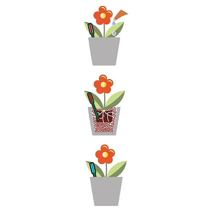 Seramis Gießanzeiger Indoor - Topfhöhe über 16 cm, 2 Stk. - Die Abbildung zeigt, wie die Feuchtigkeit mit einem Messgerät überprüft wird und wie die Blume anschließend gegossen wird.