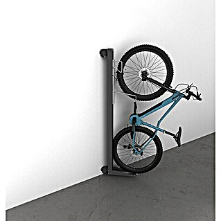 Biohort Fahrradlift Wandmontage (Schwenkbar, Dunkelgrau-metallic)