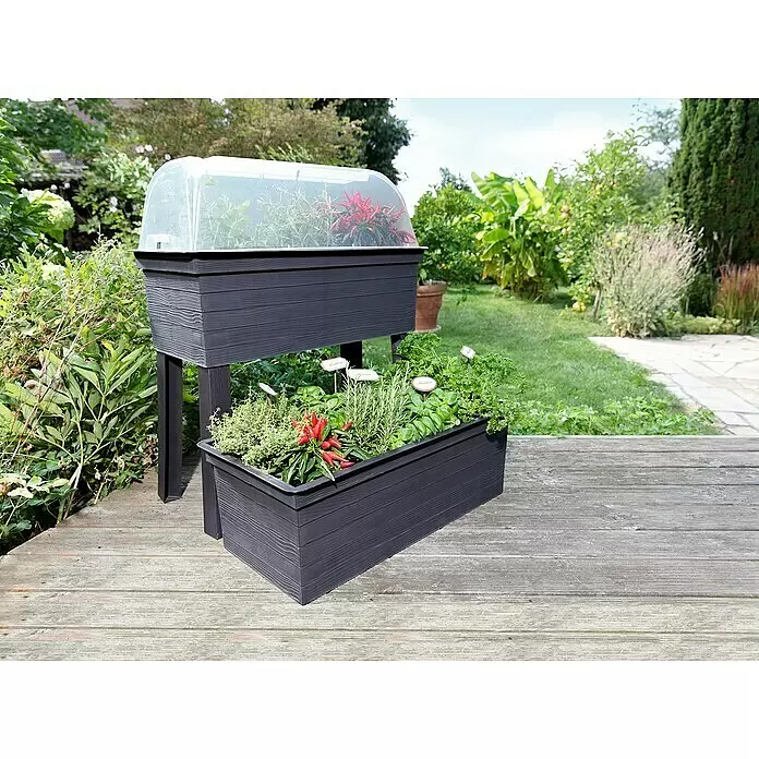 Garantia Urban Anzuchthaube - 75 x 37 x 22 cm - Stimmungsaufnahme