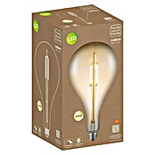 LED-Leuchtmittel Edison  (4 W, E27, Warmweiß, Tropfen)