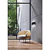 Fischer & Honsel Wandleuchte Berlin (3 W, L x B x H: 13 x 6 x 4 cm, Schwarz) | BAUHAUS